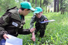 В КГУ завершилась областная олимпиада школьников по лесоводству